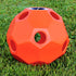 Burlingham Sports Slow Feed Hay Ball Toy Feeder